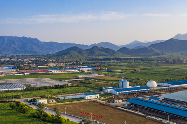 臭氧发生器_养殖行业废水解决方案
